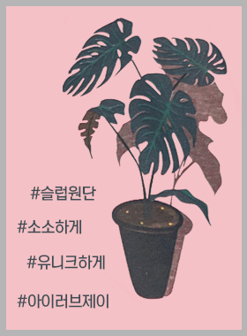 »óǰ ¼¶³×ÀÏ »óǰ ¼¶³×ÀÏ